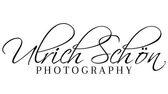 raven-black logo